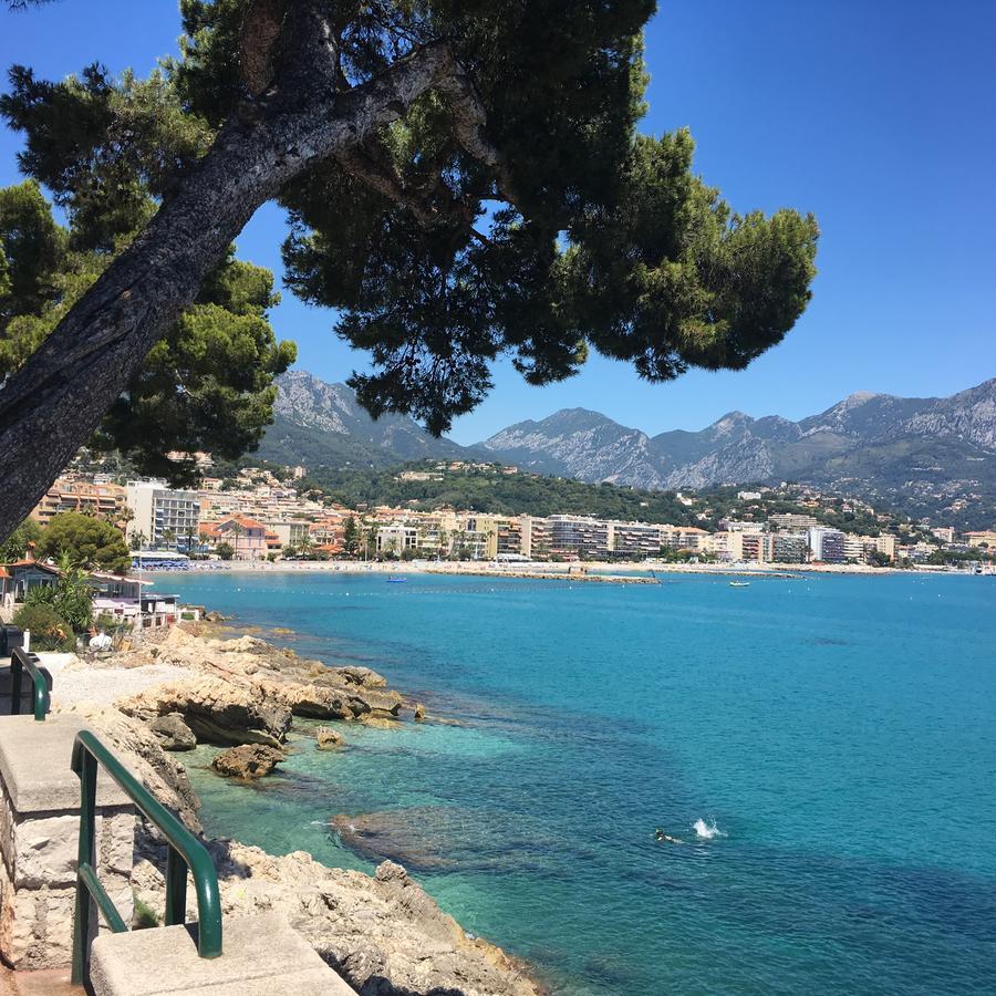 Les Glycines Apartment Menton Bagian luar foto
